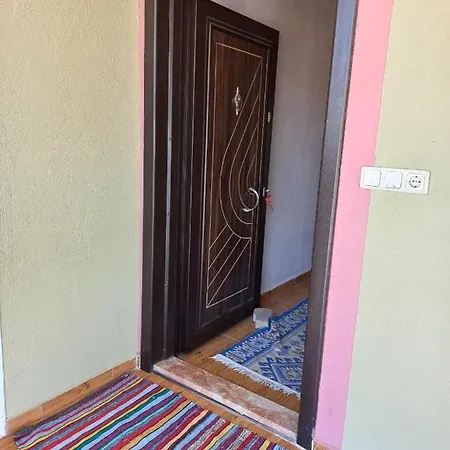 Sunshine Guest House With Terrace * Φετιγιέ